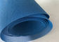 Blue Color Square Hole Polyester Mesh Belt Dryer Woven Mesh Screen Fabric